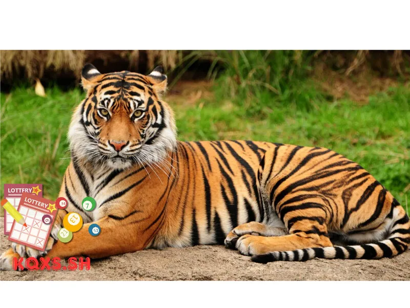 Số 15 trong lô đề có ý nghĩa gì? Mật mã con cọp và cách chơi đạt hiệu quả cao