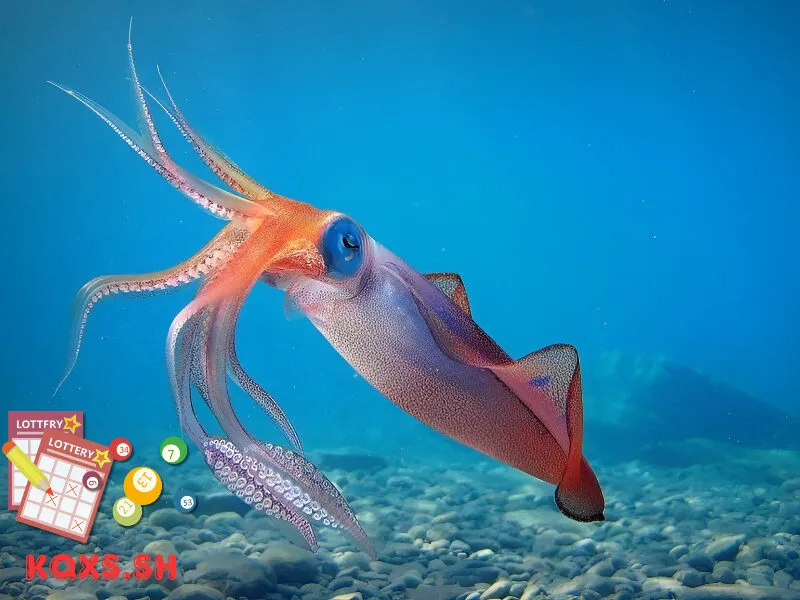 Số 19 trong lô đề có ý nghĩa gì? Mật mã con mực và lối chơi sinh lời bền vững