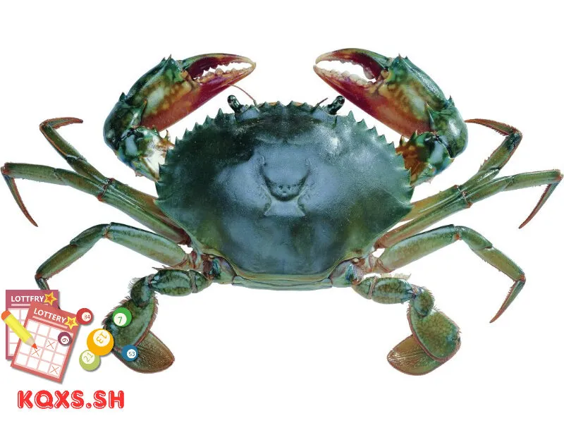 Số 21 trong lô đề có ý nghĩa gì? Giải mã con cua và bí quyết thắng lớn