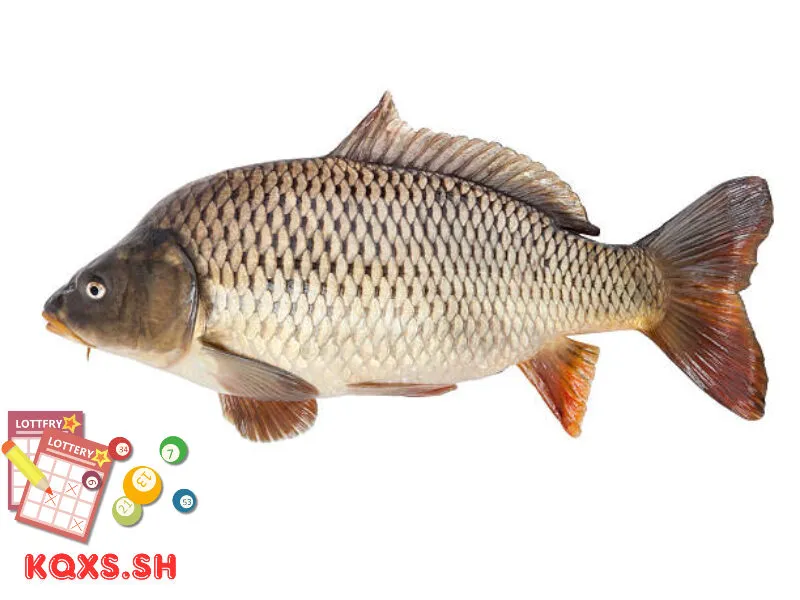 Số 23 trong lô đề có ý nghĩa gì? Bí mật con cá và phương pháp chơi thắng