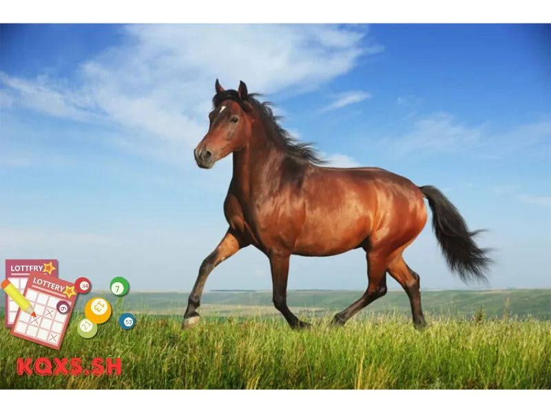 Số 25 trong lô đề có ý nghĩa gì? Mật mã con ngựa và bí quyết chiến thắng
