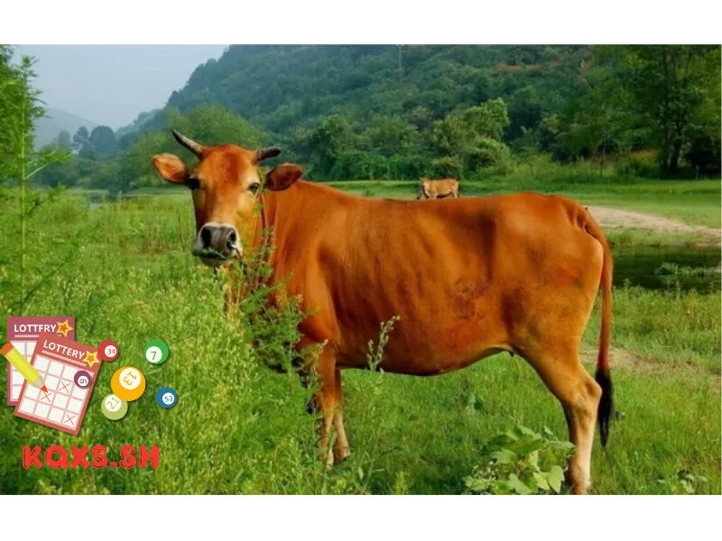 Số 30 trong lô đề có ý nghĩa gì? Mật mã con bò và bí quyết chơi ổn định