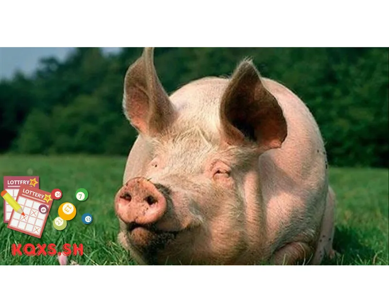 Số 7 trong lô đề có ý nghĩa gì? Giải mã con heo và chiến thuật chơi thắng lớn
