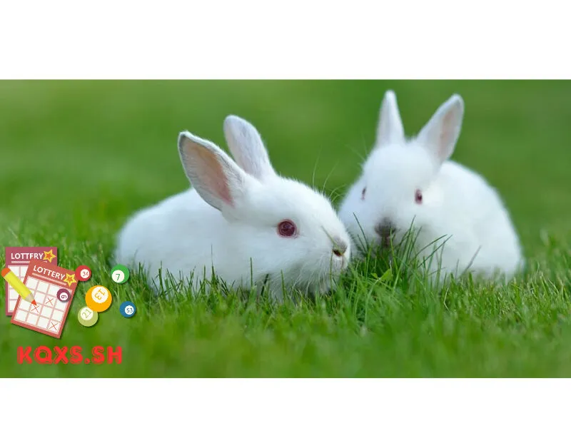 Số 8 trong lô đề có ý nghĩa gì? Bí mật con thỏ và chiến lược bắt lô chuẩn xác