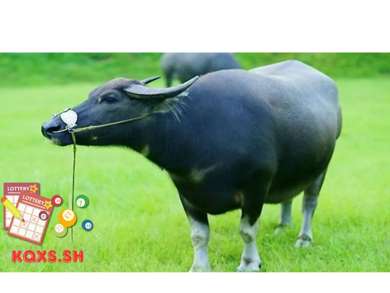 Số 9 trong lô đề có ý nghĩa gì? Giải mã con trâu và phương pháp chơi bền vững